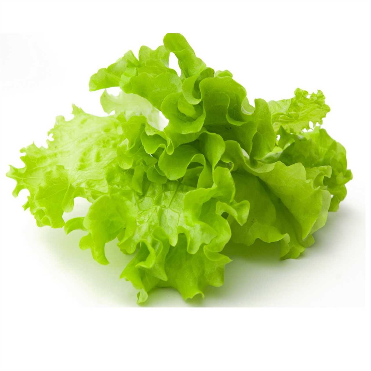 Electronics Black Wrist Watch